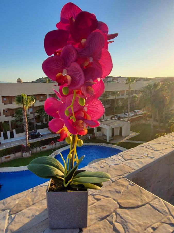 Ático dúplex precioso con piscina privada en Paraíso de Vera! Exterior foto