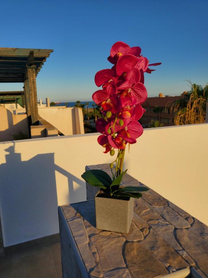 Ático dúplex precioso con piscina privada en Paraíso de Vera! Exterior foto